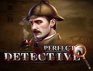 Perfect Detective